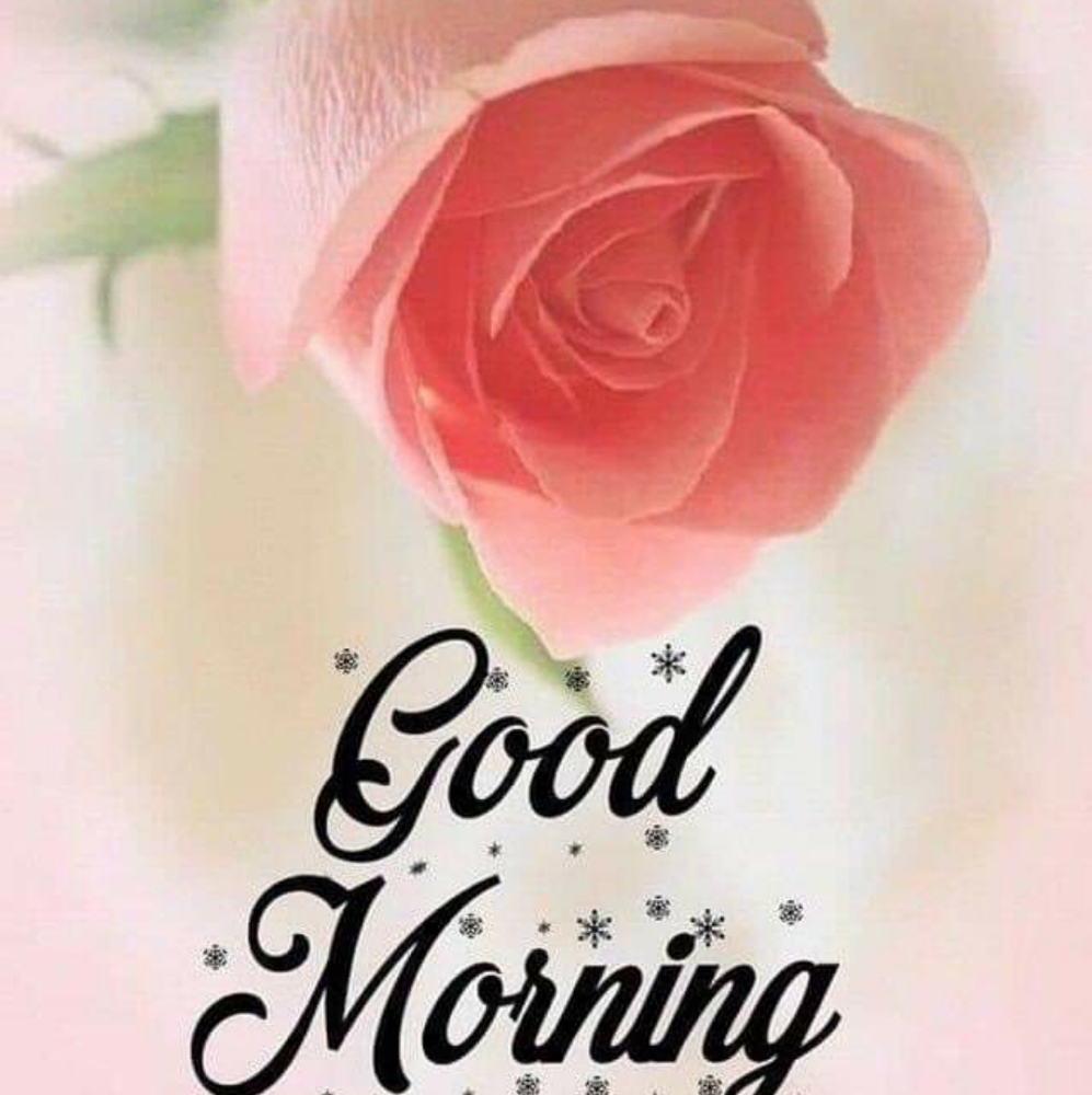 Meet your Posher, Stefanie